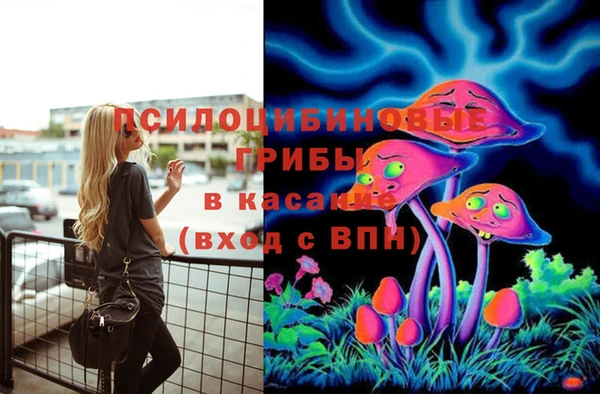 2c-b Коряжма