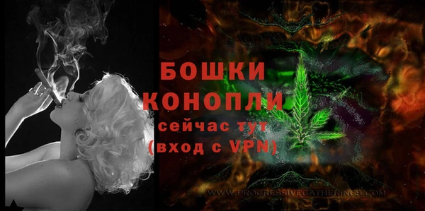 2c-b Коряжма