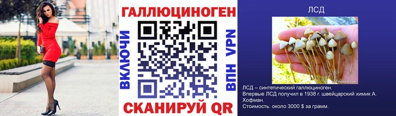 Галлюциногенные грибы мицелий Купить Пенза